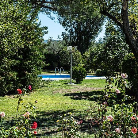Terre Etrusche Guest House-Terme -3 Minuti Da Viterbo Centro Zewnętrze zdjęcie