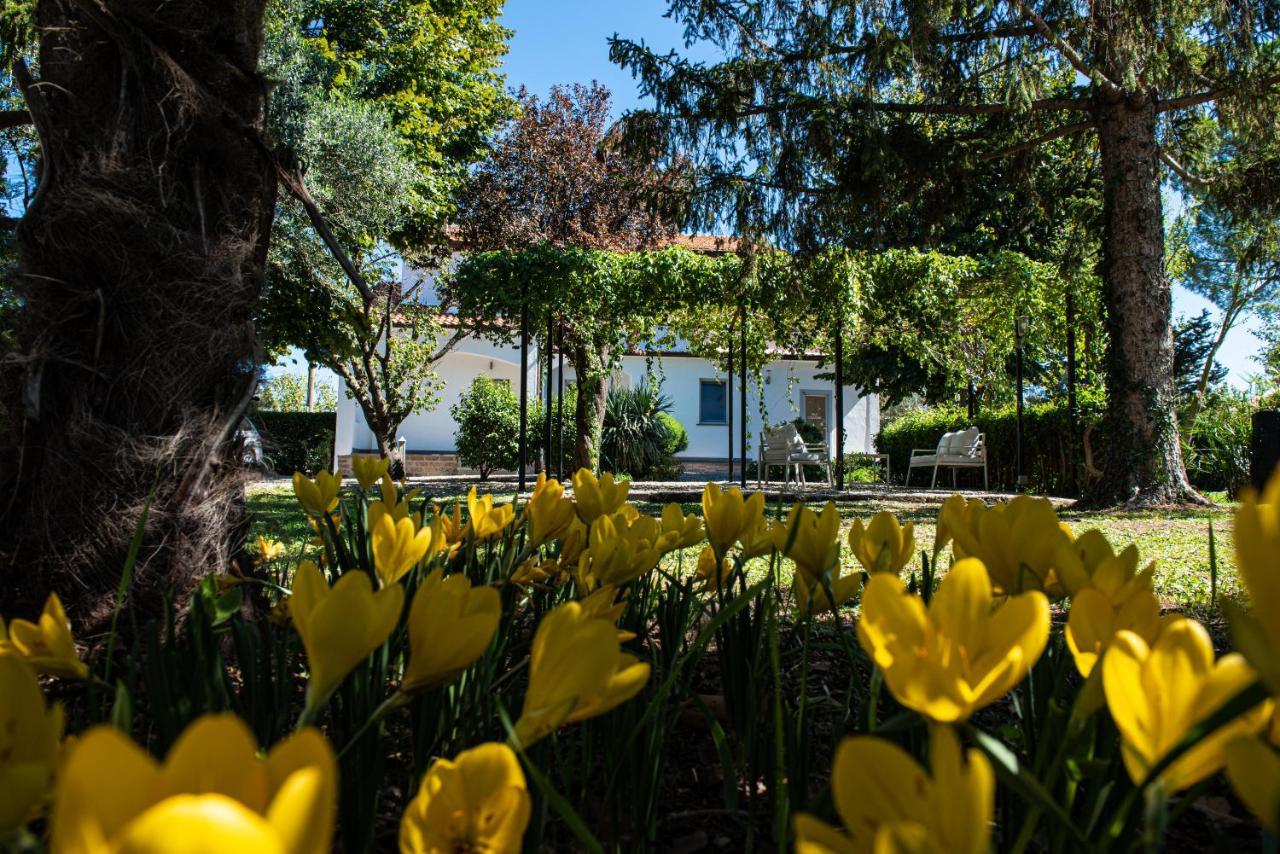 Terre Etrusche Guest House-Terme -3 Minuti Da Viterbo Centro Zewnętrze zdjęcie