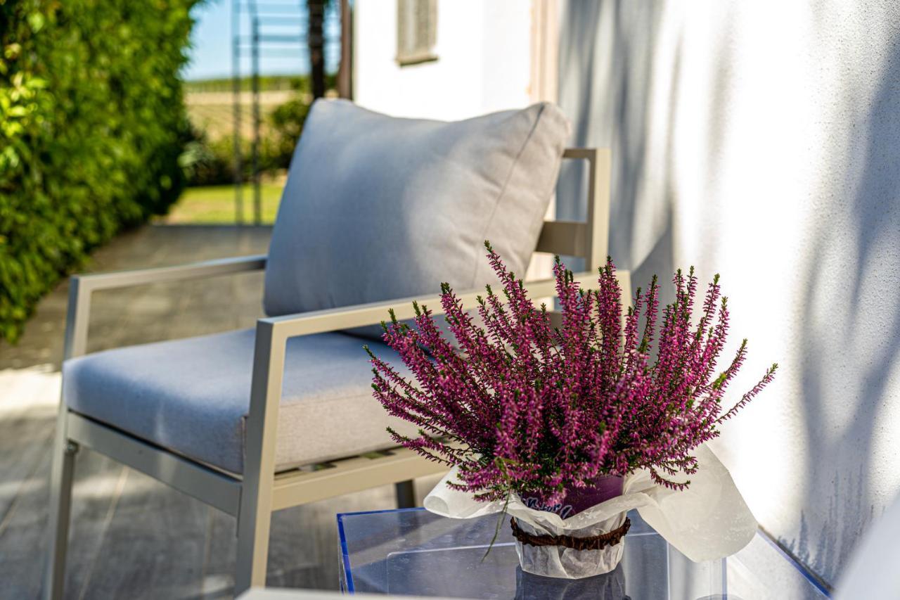 Terre Etrusche Guest House-Terme -3 Minuti Da Viterbo Centro Zewnętrze zdjęcie
