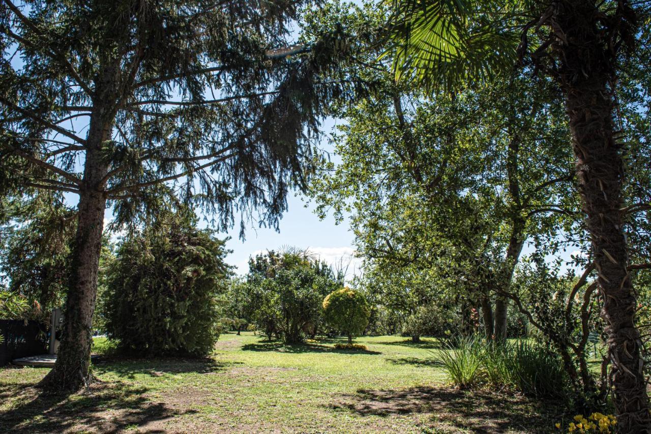 Terre Etrusche Guest House-Terme -3 Minuti Da Viterbo Centro Zewnętrze zdjęcie